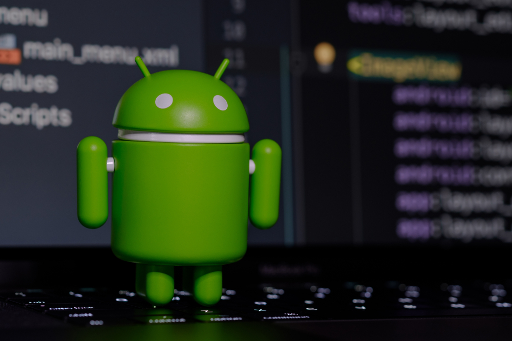 freelance website developer in hyderabad